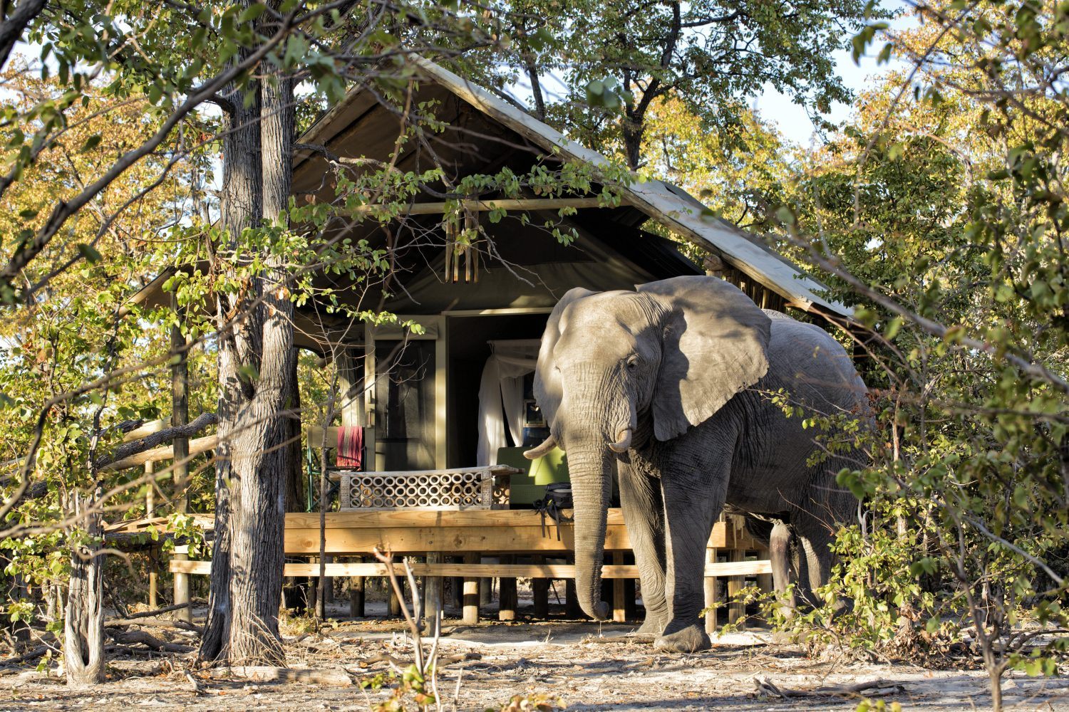 hyena-pan-luxury-private-tours-and-safaris-african-sunsets-travel-2